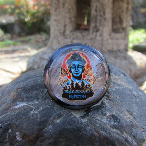 Railroad Earth - "Like a Buddha Glass Hat-pin"