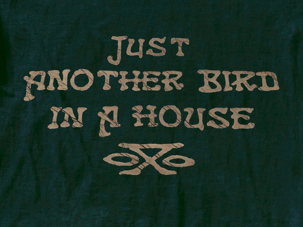 "Just Another Bird In A House"   Railroad Earth